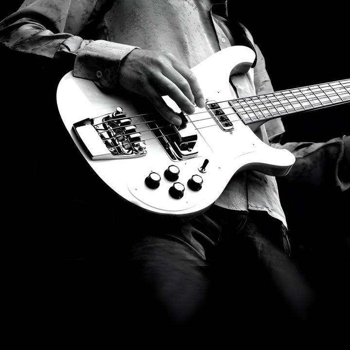 Maîtrisez toutes les techniques de la basse avec nos cours pour débutants et professionnels.